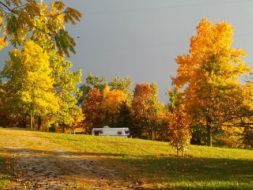 The leaves are beautiful right now